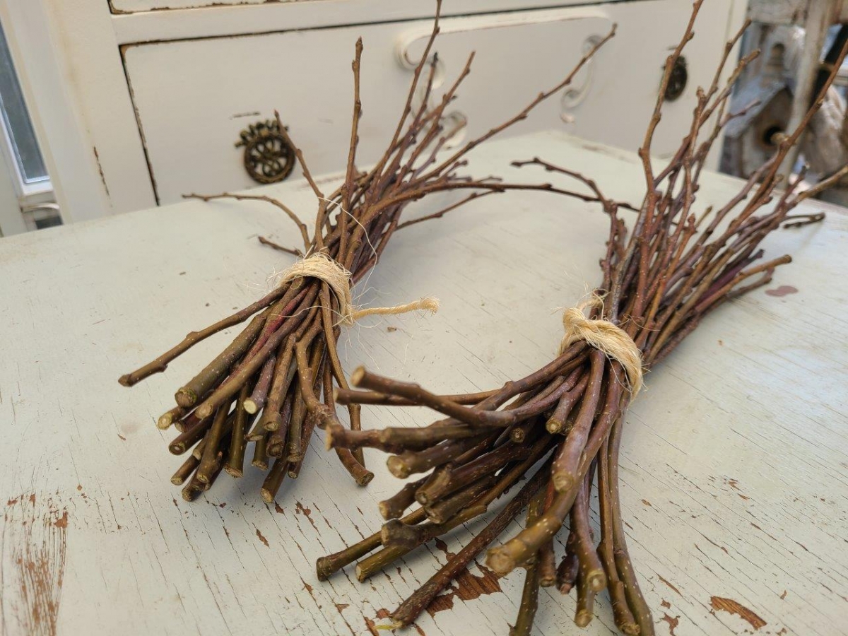 Branches décoratives poirier, artisanat et pour rongeurs8