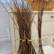 Branches décoratives poirier, artisanat et pour rongeurs