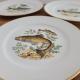 Lot de 5 assiettes jkw western germany 1930 fine porcelain poissons rebord en or