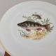 Lot de 5 assiettes jkw western germany 1930 fine porcelain poissons rebord en or4