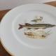 Lot de 5 assiettes jkw western germany 1930 fine porcelain poissons rebord en or6